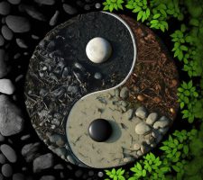 Grădina Zen: Beneficii și pași pentru crearea ei