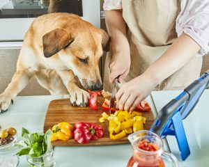 Rețete bio pentru câini: Sănătate și gust