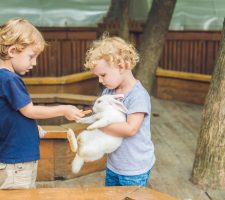 Copii și animale: Lecții de empatie și responsabilitate